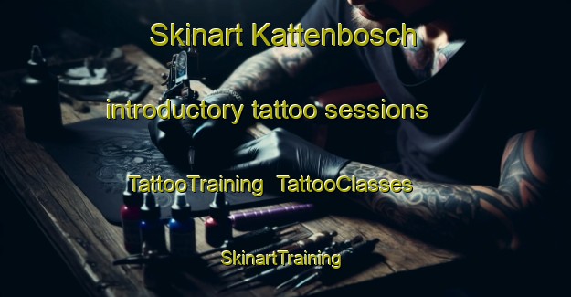 Skinart Kattenbosch introductory tattoo sessions | TattooTraining | TattooClasses | SkinartTraining-Netherlands
