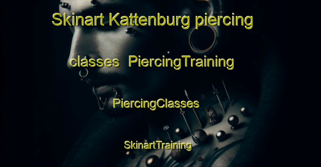 Skinart Kattenburg piercing classes | PiercingTraining | PiercingClasses | SkinartTraining-Netherlands