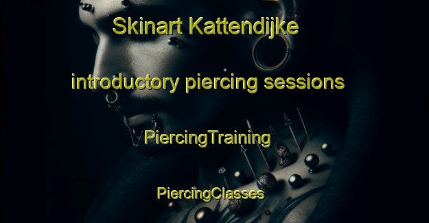 Skinart Kattendijke introductory piercing sessions | PiercingTraining | PiercingClasses | SkinartTraining-Netherlands