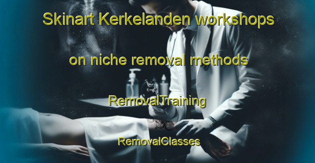 Skinart Kerkelanden workshops on niche removal methods | RemovalTraining | RemovalClasses | SkinartTraining-Netherlands