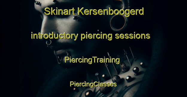 Skinart Kersenboogerd introductory piercing sessions | #PiercingTraining #PiercingClasses #SkinartTraining-Netherlands