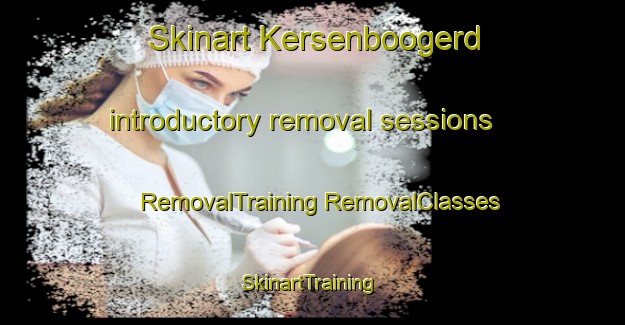 Skinart Kersenboogerd introductory removal sessions | #RemovalTraining #RemovalClasses #SkinartTraining-Netherlands