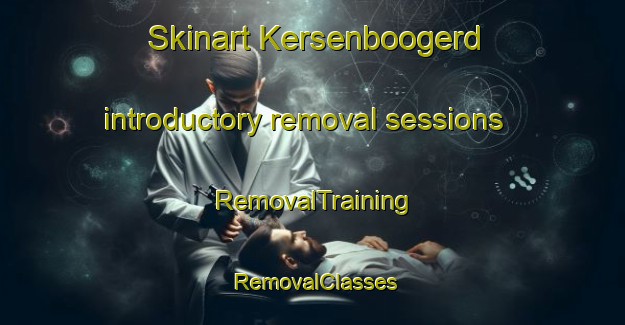 Skinart Kersenboogerd introductory removal sessions | RemovalTraining | RemovalClasses | SkinartTraining-Netherlands