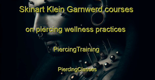 Skinart Klein Garnwerd courses on piercing wellness practices | #PiercingTraining #PiercingClasses #SkinartTraining-Netherlands