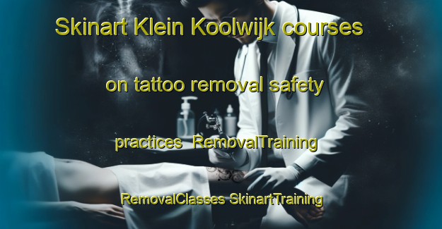 Skinart Klein Koolwijk courses on tattoo removal safety practices | #RemovalTraining #RemovalClasses #SkinartTraining-Netherlands