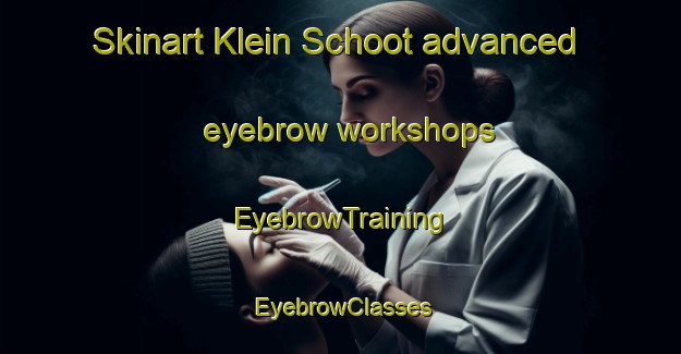 Skinart Klein Schoot advanced eyebrow workshops | EyebrowTraining | EyebrowClasses | SkinartTraining-Netherlands