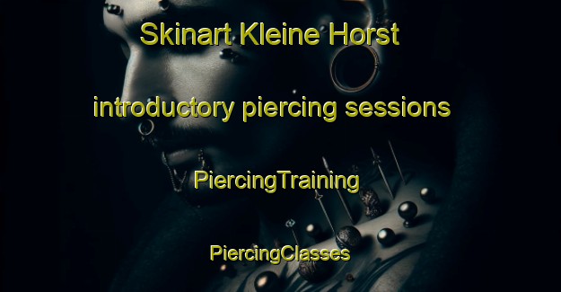 Skinart Kleine Horst introductory piercing sessions | #PiercingTraining #PiercingClasses #SkinartTraining-Netherlands