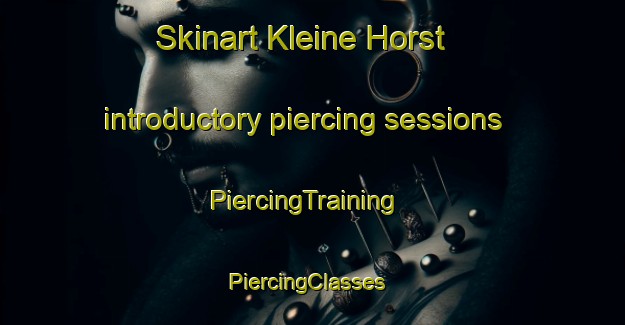 Skinart Kleine Horst introductory piercing sessions | PiercingTraining | PiercingClasses | SkinartTraining-Netherlands