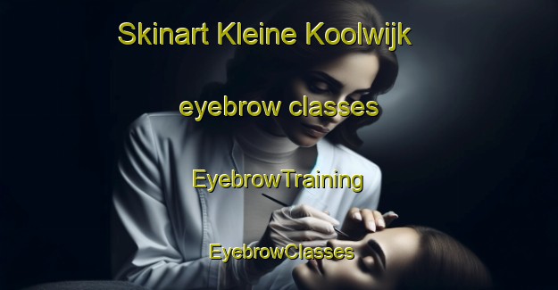 Skinart Kleine Koolwijk eyebrow classes | EyebrowTraining | EyebrowClasses | SkinartTraining-Netherlands