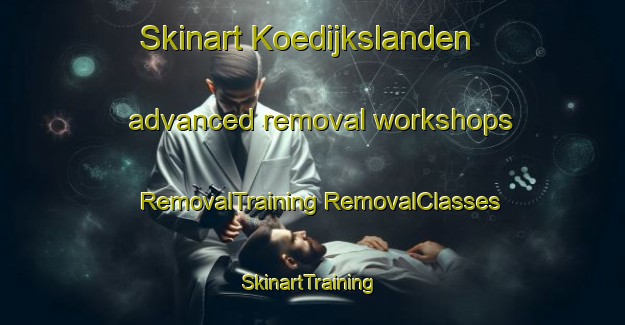 Skinart Koedijkslanden advanced removal workshops | #RemovalTraining #RemovalClasses #SkinartTraining-Netherlands