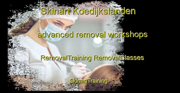 Skinart Koedijkslanden advanced removal workshops | #RemovalTraining #RemovalClasses #SkinartTraining-Netherlands