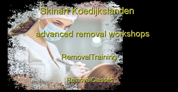 Skinart Koedijkslanden advanced removal workshops | RemovalTraining | RemovalClasses | SkinartTraining-Netherlands