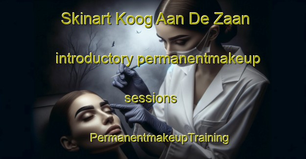 Skinart Koog Aan De Zaan introductory permanentmakeup sessions | #PermanentmakeupTraining #PermanentmakeupClasses #SkinartTraining-Netherlands