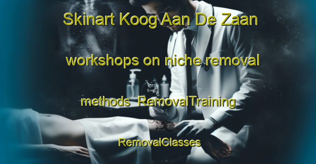 Skinart Koog Aan De Zaan workshops on niche removal methods | RemovalTraining | RemovalClasses | SkinartTraining-Netherlands