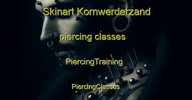 Skinart Kornwerderzand piercing classes | #PiercingTraining #PiercingClasses #SkinartTraining-Netherlands