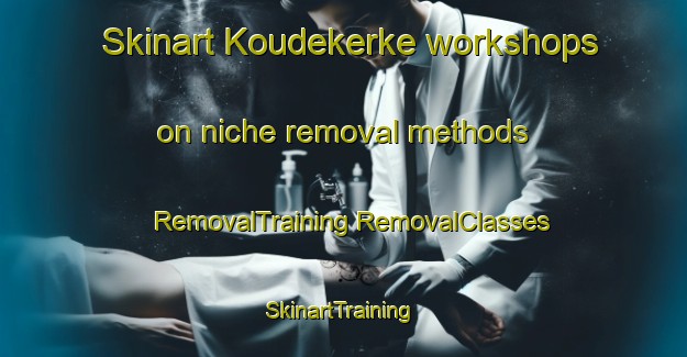 Skinart Koudekerke workshops on niche removal methods | #RemovalTraining #RemovalClasses #SkinartTraining-Netherlands