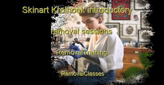 Skinart Krolhoek introductory removal sessions | RemovalTraining | RemovalClasses | SkinartTraining-Netherlands