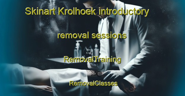 Skinart Krolhoek introductory removal sessions | RemovalTraining | RemovalClasses | SkinartTraining-Netherlands