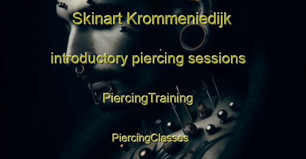 Skinart Krommeniedijk introductory piercing sessions | PiercingTraining | PiercingClasses | SkinartTraining-Netherlands
