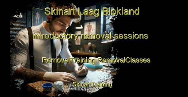 Skinart Laag Blokland introductory removal sessions | #RemovalTraining #RemovalClasses #SkinartTraining-Netherlands