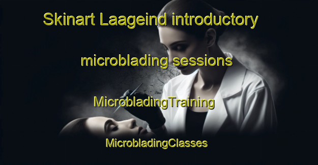 Skinart Laageind introductory microblading sessions | MicrobladingTraining | MicrobladingClasses | SkinartTraining-Netherlands