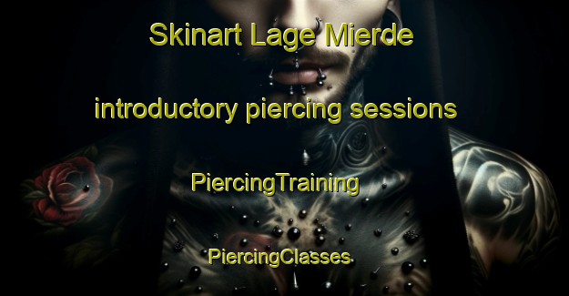 Skinart Lage Mierde introductory piercing sessions | PiercingTraining | PiercingClasses | SkinartTraining-Netherlands