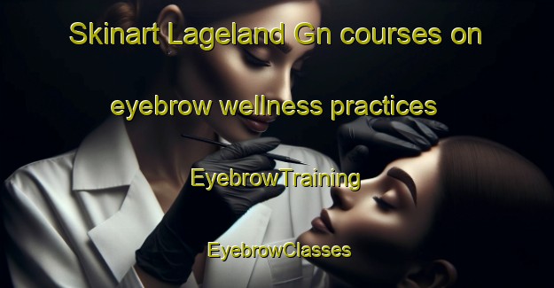 Skinart Lageland Gn courses on eyebrow wellness practices | EyebrowTraining | EyebrowClasses | SkinartTraining-Netherlands