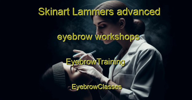 Skinart Lammers advanced eyebrow workshops | EyebrowTraining | EyebrowClasses | SkinartTraining-Netherlands