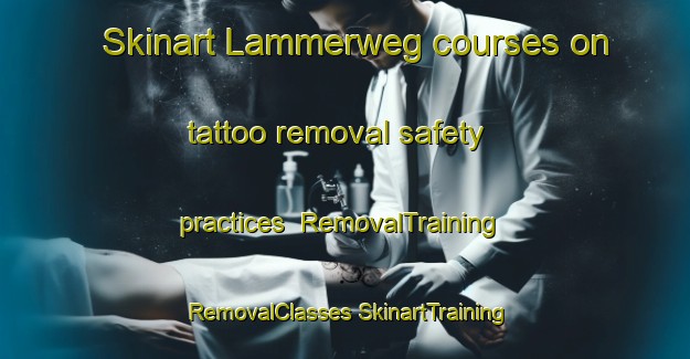 Skinart Lammerweg courses on tattoo removal safety practices | #RemovalTraining #RemovalClasses #SkinartTraining-Netherlands