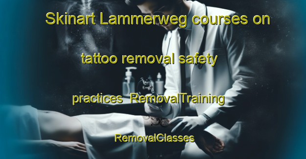 Skinart Lammerweg courses on tattoo removal safety practices | RemovalTraining | RemovalClasses | SkinartTraining-Netherlands