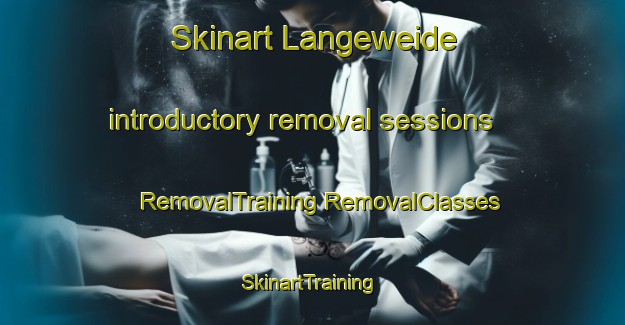 Skinart Langeweide introductory removal sessions | #RemovalTraining #RemovalClasses #SkinartTraining-Netherlands