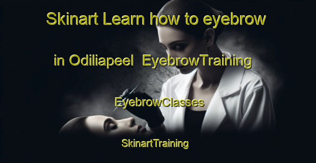 Skinart Learn how to eyebrow in Odiliapeel | EyebrowTraining | EyebrowClasses | SkinartTraining-Netherlands