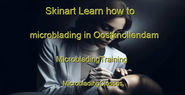 Skinart Learn how to microblading in Oostknollendam | #MicrobladingTraining #MicrobladingClasses #SkinartTraining-Netherlands