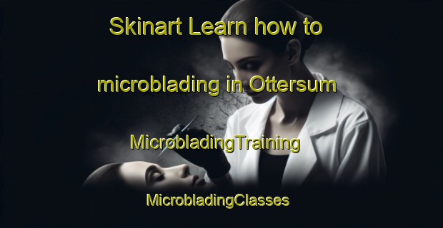 Skinart Learn how to microblading in Ottersum | MicrobladingTraining | MicrobladingClasses | SkinartTraining-Netherlands