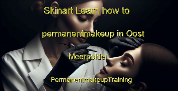 Skinart Learn how to permanentmakeup in Oost Meerpolder | PermanentmakeupTraining | PermanentmakeupClasses | SkinartTraining-Netherlands