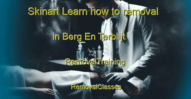 Skinart Learn how to removal in Berg En Terblijt | RemovalTraining | RemovalClasses | SkinartTraining-Netherlands