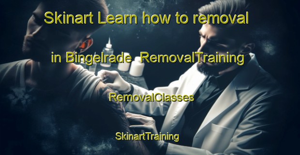 Skinart Learn how to removal in Bingelrade | RemovalTraining | RemovalClasses | SkinartTraining-Netherlands