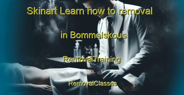 Skinart Learn how to removal in Bommelskous | RemovalTraining | RemovalClasses | SkinartTraining-Netherlands