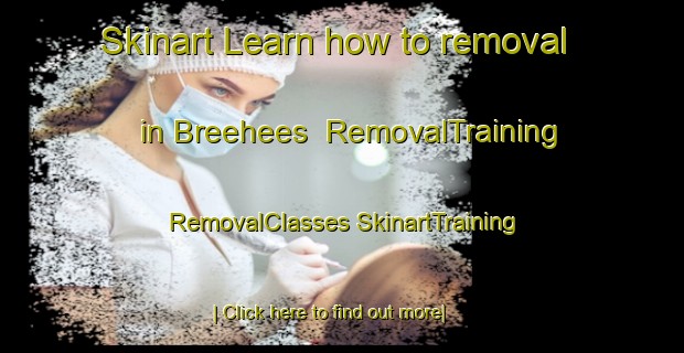 Skinart Learn how to removal in Breehees | #RemovalTraining #RemovalClasses #SkinartTraining-Netherlands