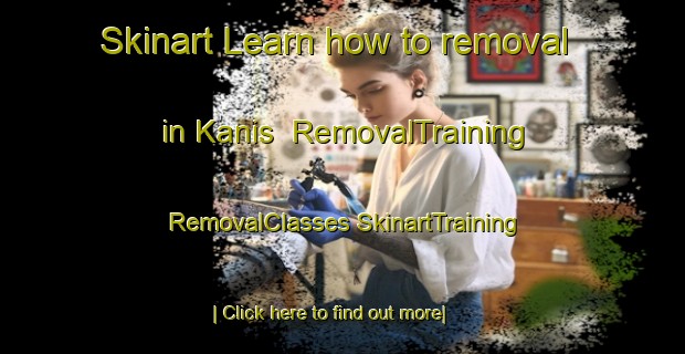 Skinart Learn how to removal in Kanis | #RemovalTraining #RemovalClasses #SkinartTraining-Netherlands