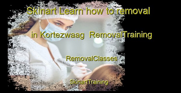 Skinart Learn how to removal in Kortezwaag | RemovalTraining | RemovalClasses | SkinartTraining-Netherlands