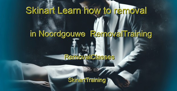Skinart Learn how to removal in Noordgouwe | RemovalTraining | RemovalClasses | SkinartTraining-Netherlands