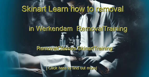 Skinart Learn how to removal in Werkendam | #RemovalTraining #RemovalClasses #SkinartTraining-Netherlands