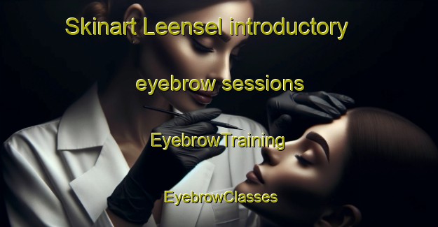Skinart Leensel introductory eyebrow sessions | EyebrowTraining | EyebrowClasses | SkinartTraining-Netherlands