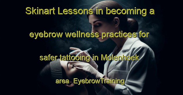 Skinart Lessons in becoming a eyebrow wellness practices for safer tattooing in Molenhoek area | EyebrowTraining | EyebrowClasses | SkinartTraining-Netherlands