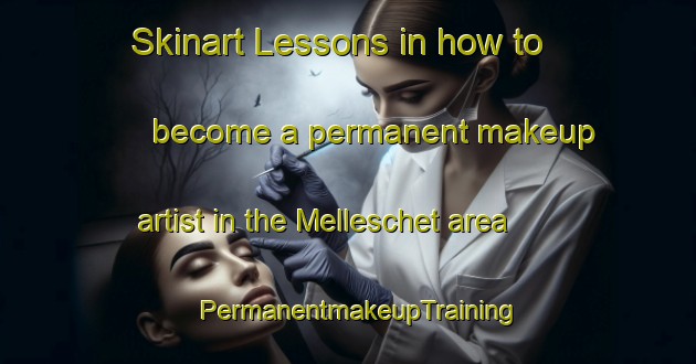 Skinart Lessons in how to become a permanent makeup artist in the Melleschet area | PermanentmakeupTraining | PermanentmakeupClasses | SkinartTraining-Netherlands