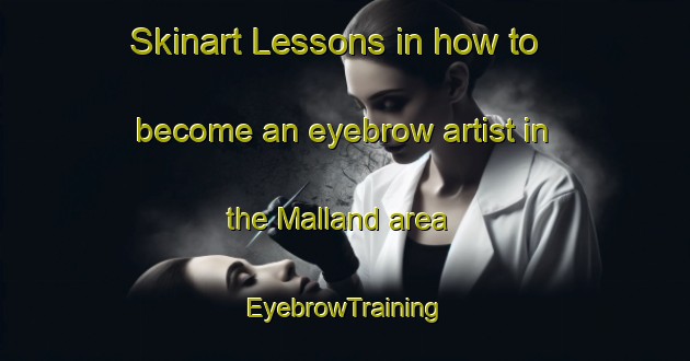 Skinart Lessons in how to become an eyebrow artist in the Malland area | EyebrowTraining | EyebrowClasses | SkinartTraining-Netherlands