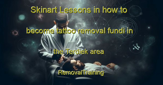 Skinart Lessons in how to become tattoo removal fundi in the Terdiek area | RemovalTraining | RemovalClasses | SkinartTraining-Netherlands