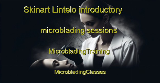 Skinart Lintelo introductory microblading sessions | #MicrobladingTraining #MicrobladingClasses #SkinartTraining-Netherlands