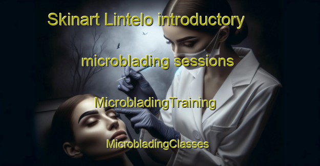 Skinart Lintelo introductory microblading sessions | MicrobladingTraining | MicrobladingClasses | SkinartTraining-Netherlands